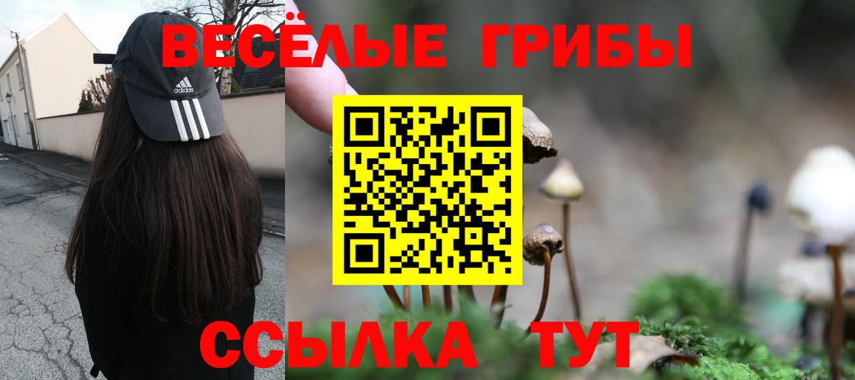 даркнет сайт  Галлюциногенные грибы GOLDEN TEACHER  Вход с VPN  Галлюциногенные грибы GOLDEN TEACHER  Новый Уренгой 